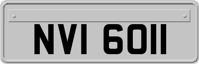 NVI6011