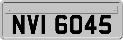 NVI6045