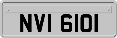 NVI6101