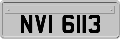 NVI6113