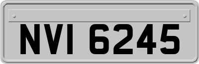 NVI6245