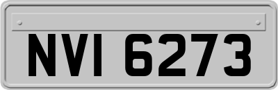 NVI6273