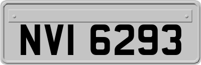 NVI6293