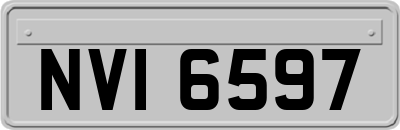 NVI6597