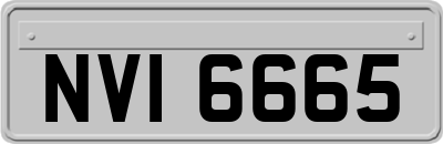 NVI6665