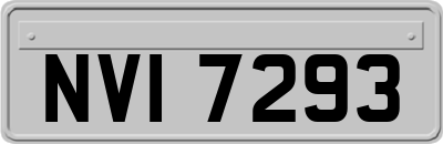 NVI7293