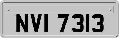 NVI7313
