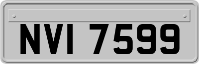 NVI7599