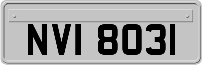 NVI8031