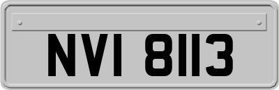 NVI8113