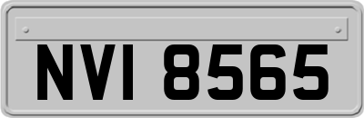 NVI8565