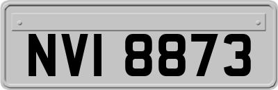 NVI8873