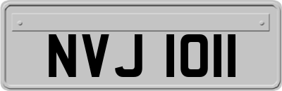 NVJ1011