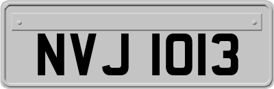 NVJ1013