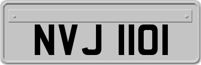 NVJ1101