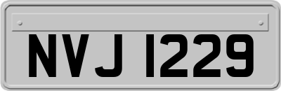NVJ1229