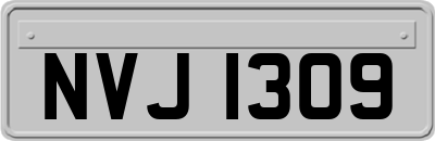 NVJ1309