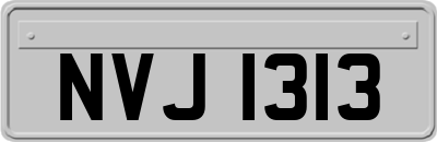 NVJ1313