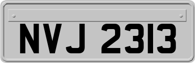 NVJ2313