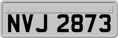 NVJ2873