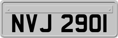 NVJ2901