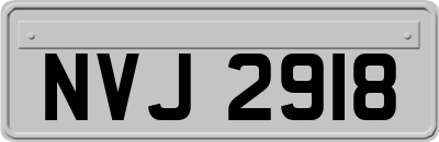 NVJ2918