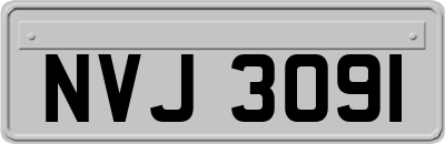NVJ3091