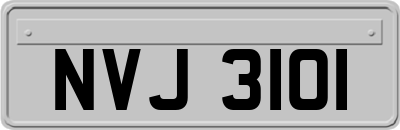 NVJ3101