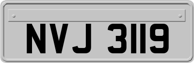 NVJ3119