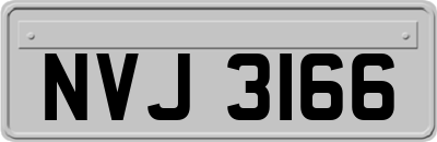 NVJ3166