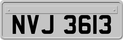 NVJ3613