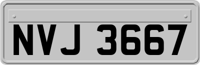 NVJ3667