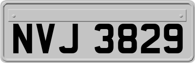 NVJ3829