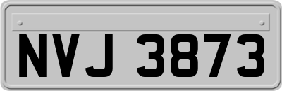 NVJ3873