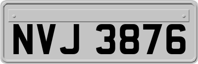 NVJ3876