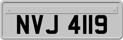 NVJ4119
