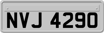 NVJ4290