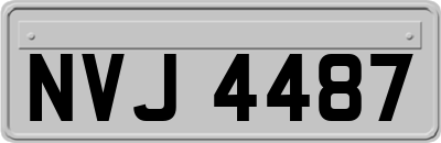NVJ4487