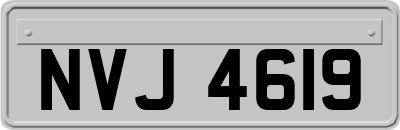 NVJ4619
