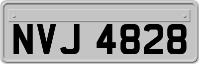 NVJ4828
