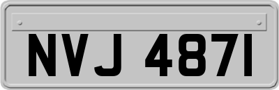NVJ4871