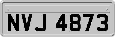 NVJ4873