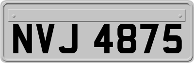 NVJ4875