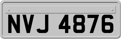 NVJ4876