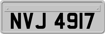 NVJ4917