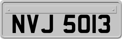 NVJ5013