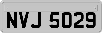 NVJ5029