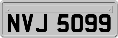 NVJ5099