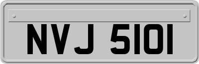 NVJ5101
