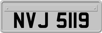 NVJ5119